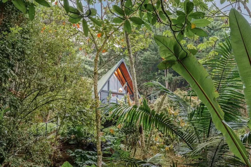 Cabaña entre árboles · El Retiro